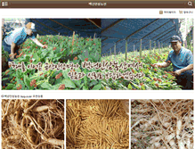 Tablet Screenshot of byg.co.kr